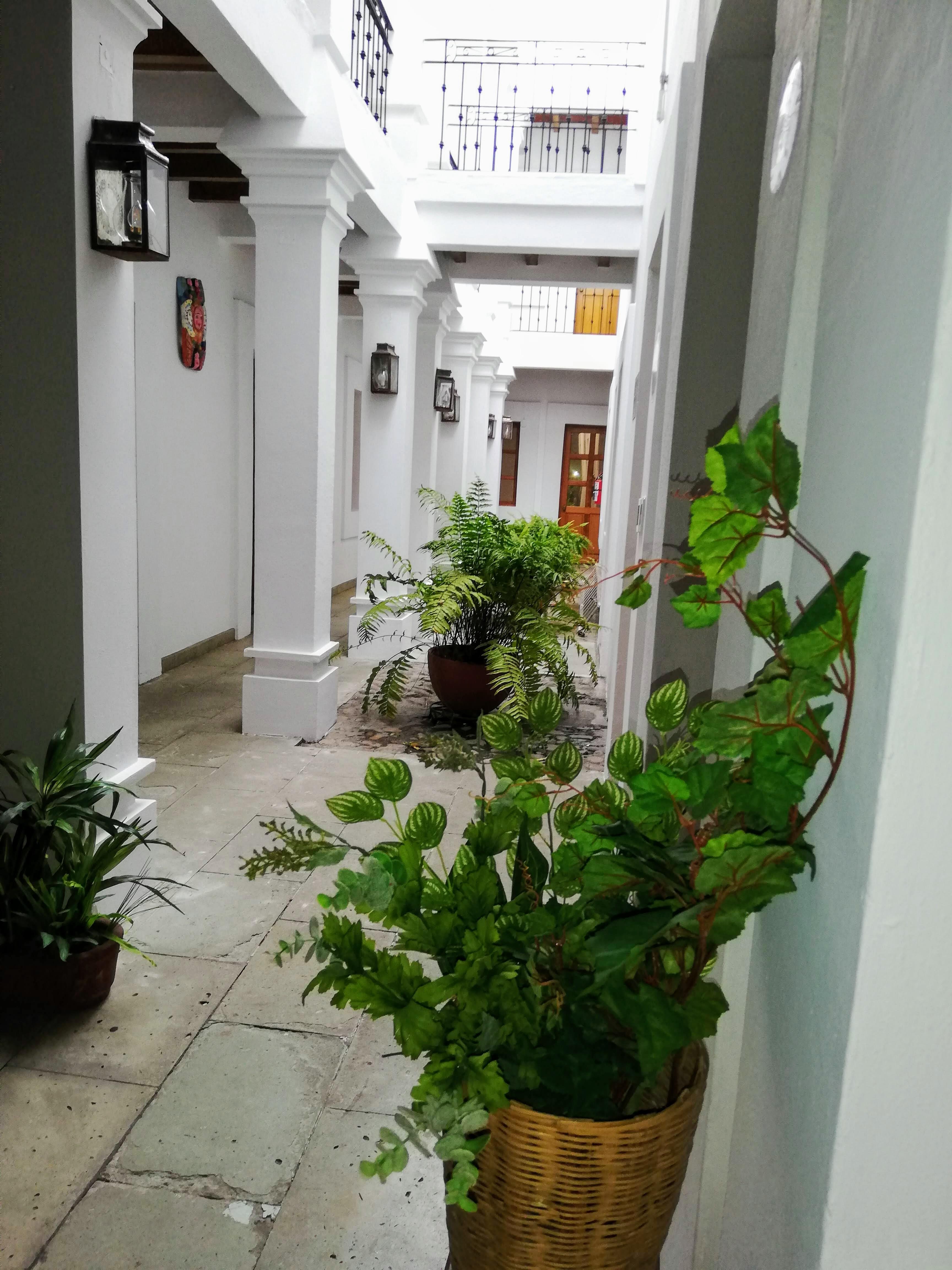 Hotel Aitana Oaxaca Exteriér fotografie