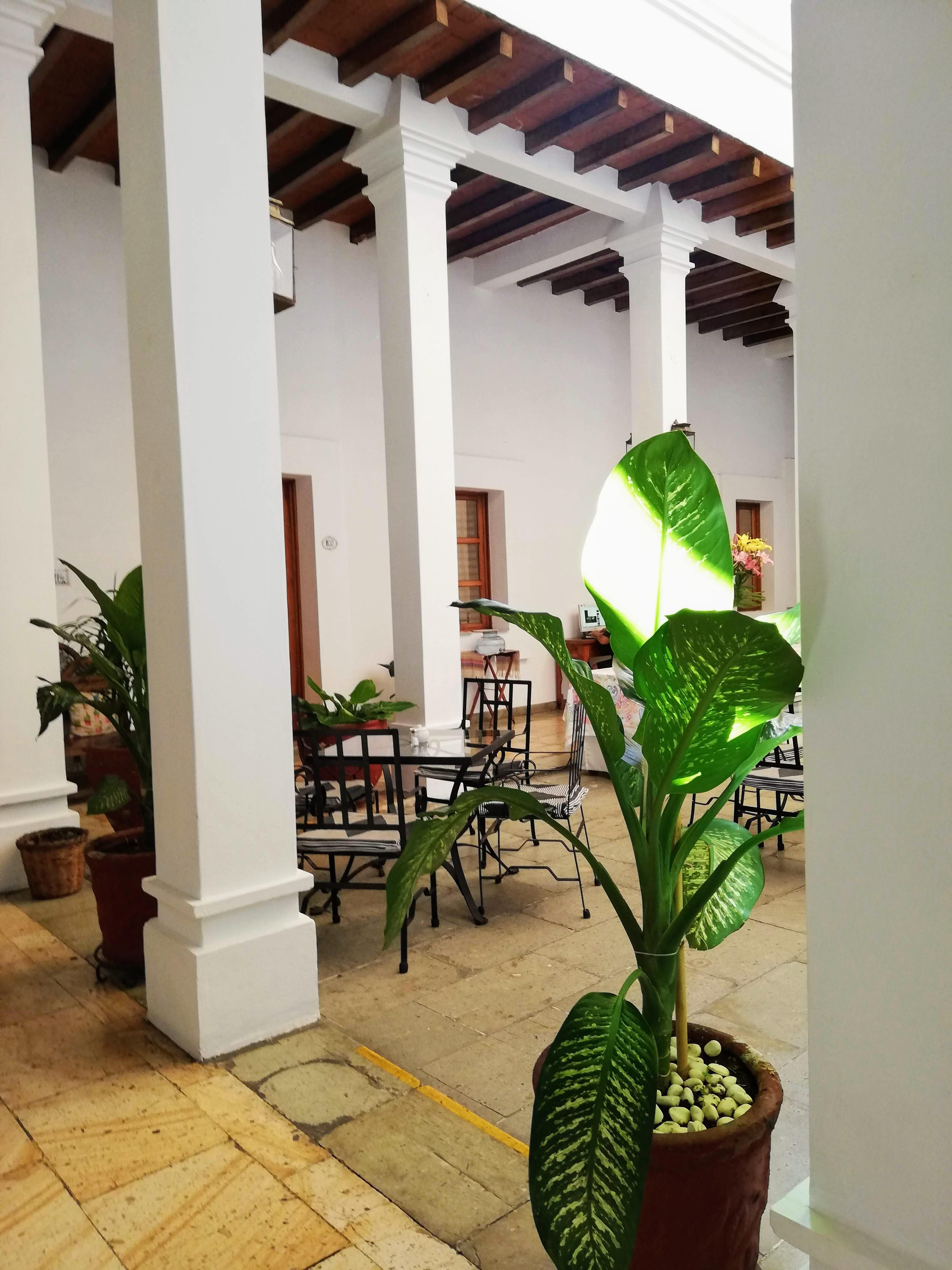 Hotel Aitana Oaxaca Exteriér fotografie